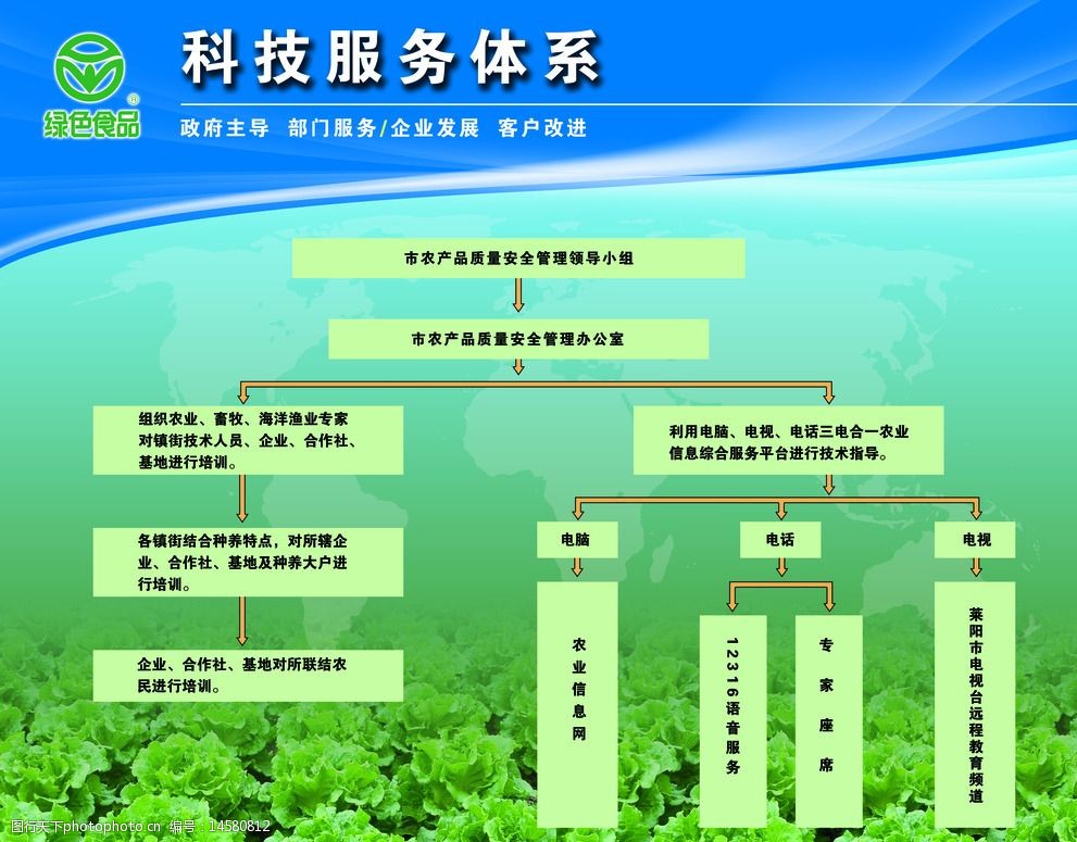 科技服務體系下的軟件開發(fā) 架構(gòu)、流程與技術(shù)解析